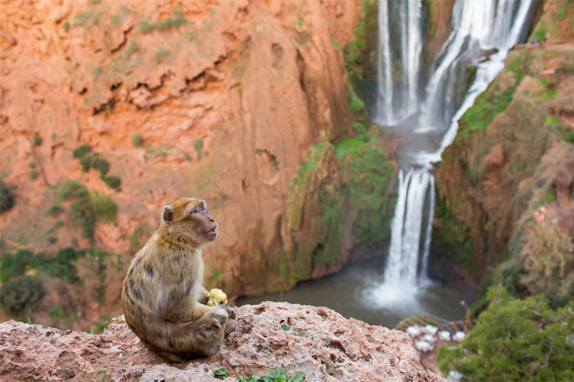 ouzoud waterfalls Morocco