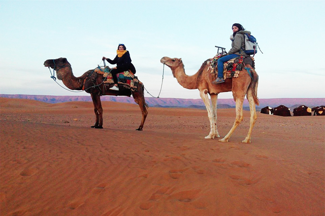 zagora desert