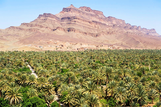 agdez Marruecos